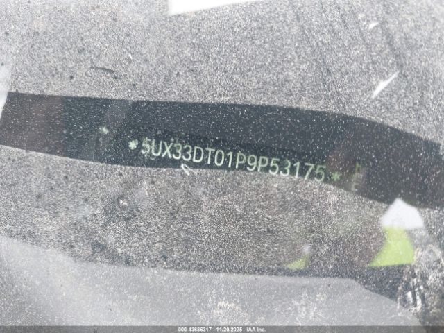 2023 BMW X4 5UX33DT01P9P53175 Photo 8