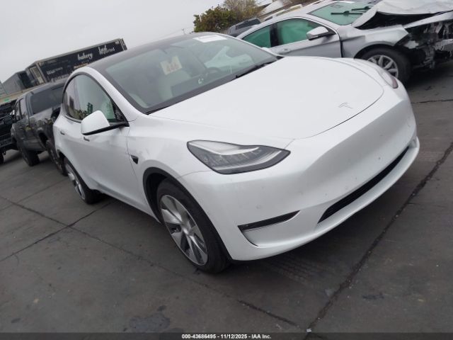 2021 TESLA MODEL Y 5YJYGDEE2MF230950 Photo 0