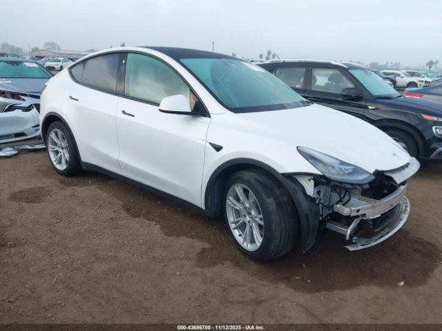 2021 TESLA MODEL Y 5YJYGAEE0MF144986