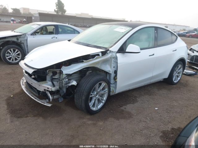 2021 TESLA MODEL Y 5YJYGAEE0MF144986 Photo 1