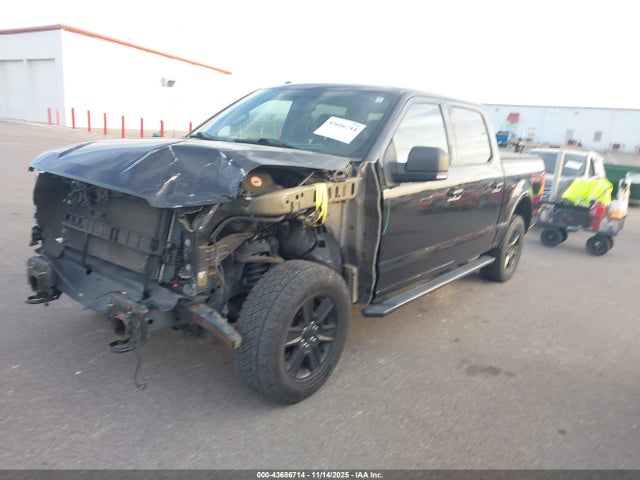 Ford F-150 Xlt 2015 1FTEW1EF9FFC65738 Image 2