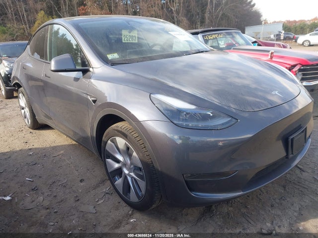 2023 TESLA MODEL Y 7SAYGDEE1PA181258 Photo 0