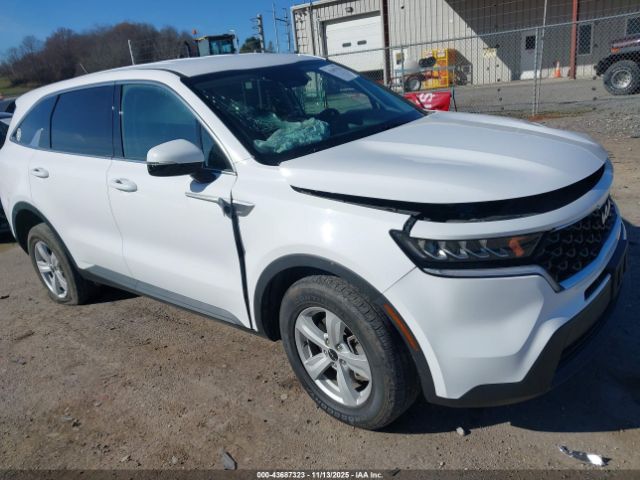 2023 KIA SORENTO 5XYRGDLC0PG184425