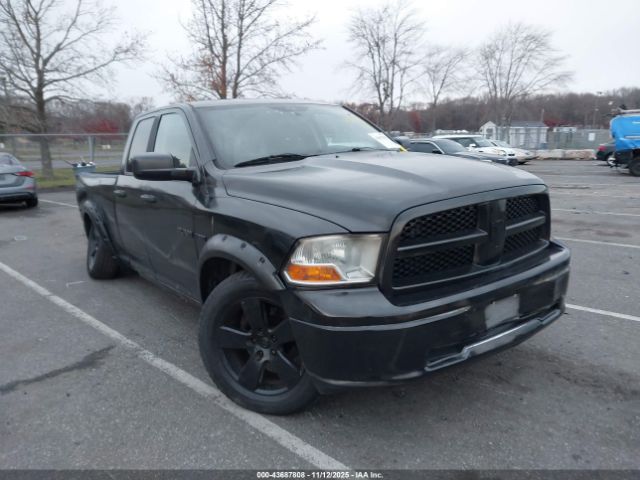 2010 DODGE RAM 1500 1D7RV1GT2AS102359