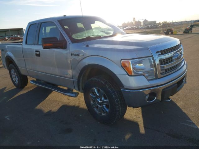 2013 FORD F-150 1FTFX1ET3DFA30904