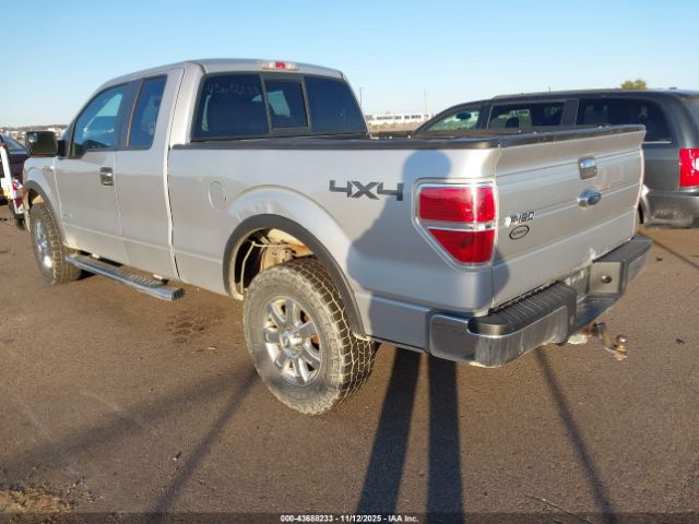 2013 FORD F-150 1FTFX1ET3DFA30904 Photo 2
