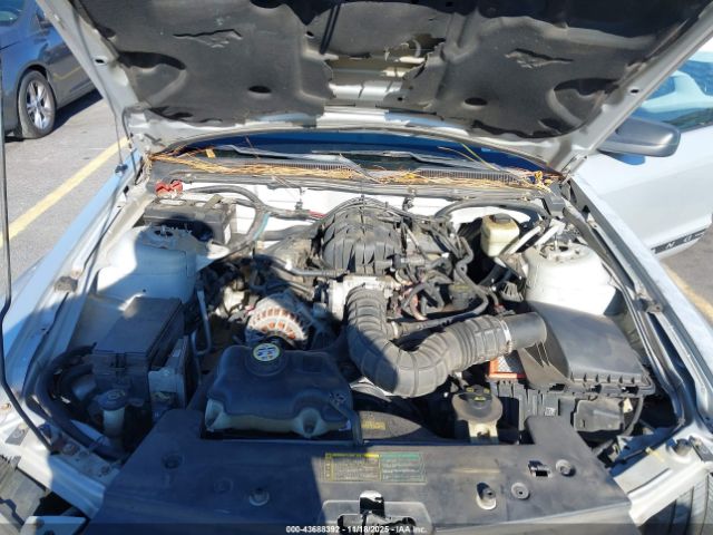 2006 FORD MUSTANG 1ZVFT80N665245096 Photo 9