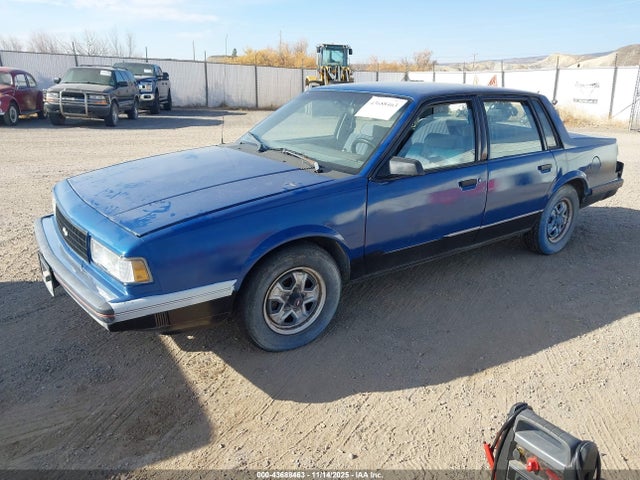 Продажа на аукционе авто 1988 Chevrolet Celebrity, vin: 1G1AW51W2J6130338, номер лота: 43688463