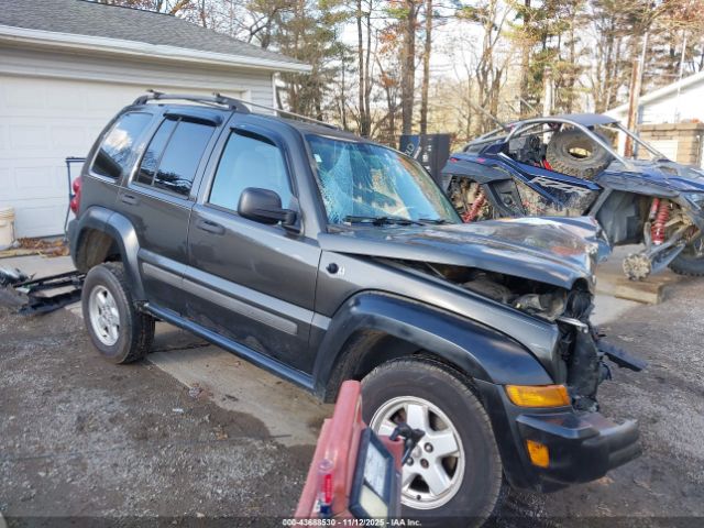 2006 JEEP LIBERTY 1J4GL48K96W174751