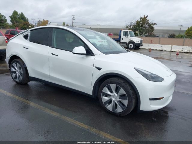 2023 TESLA MODEL Y 7SAYGDEEXPF745105