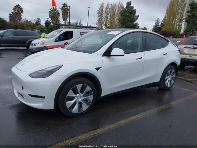 2023 TESLA MODEL Y 7SAYGDEEXPF745105 Photo 1