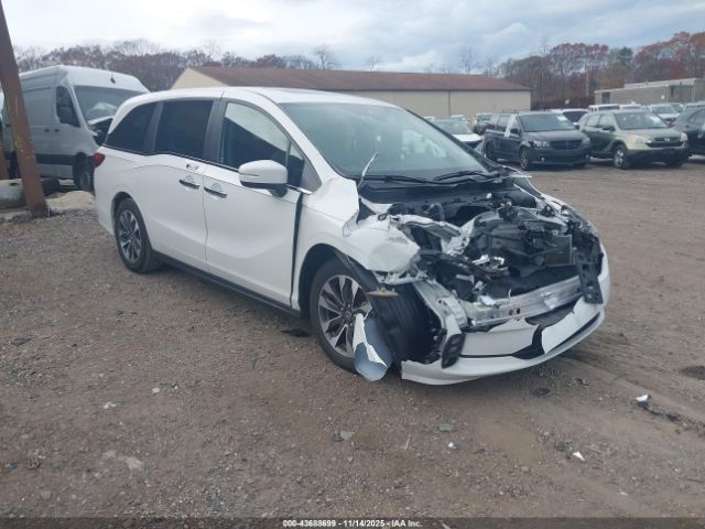 2024 HONDA ODYSSEY 5FNRL6H69RB069455