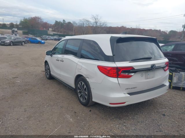 2024 HONDA ODYSSEY 5FNRL6H69RB069455 Photo 2