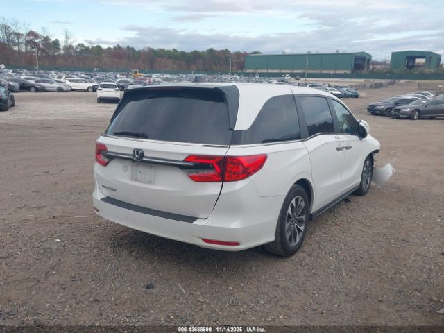 2024 HONDA ODYSSEY 5FNRL6H69RB069455 Photo 3