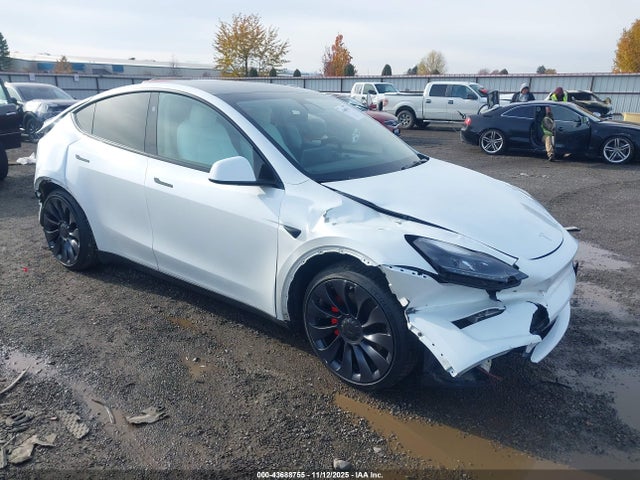 2024 TESLA MODEL Y 7SAYGDEF5RA267491 Photo 0
