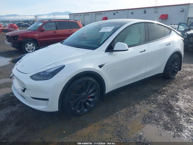 2024 TESLA MODEL Y 7SAYGDEF5RA267491 Photo 1