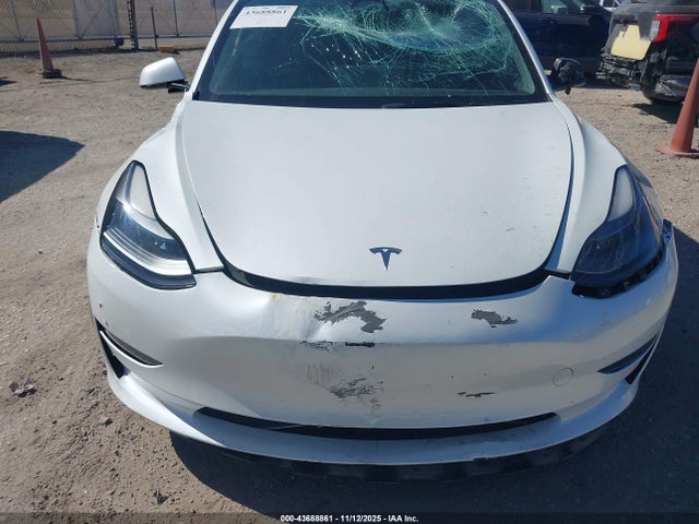 2023 TESLA MODEL 3 5YJ3E1EA0PF556603 Photo 5