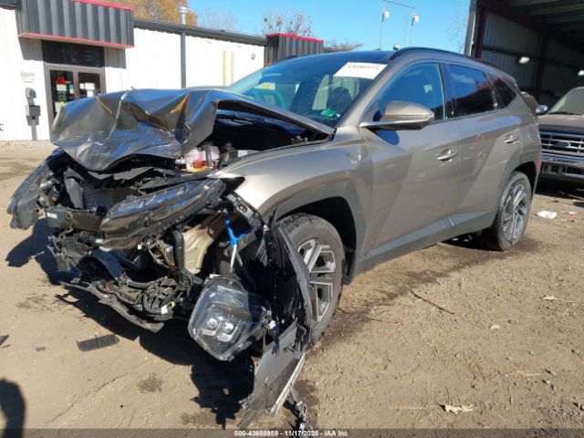 2025 HYUNDAI TUCSON HYBRID KM8JEDD17SU301694 Photo 1