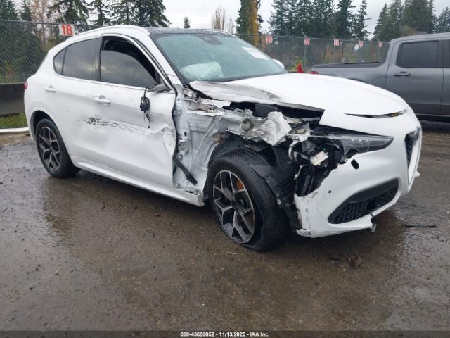 2021 ALFA ROMEO STELVIO ZASPAKBN6M7D15034