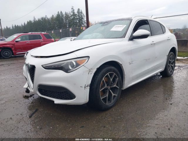 2021 ALFA ROMEO STELVIO ZASPAKBN6M7D15034 Photo 1