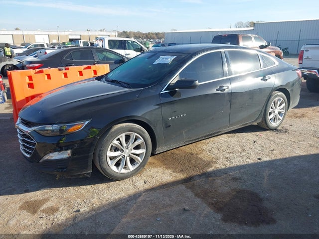 2019 CHEVROLET MALIBU 1G1ZD5ST6KF227105 Photo 1