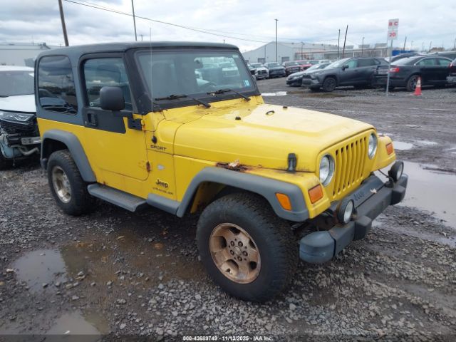 2003 JEEP WRANGLER 1J4FA49S03P368171