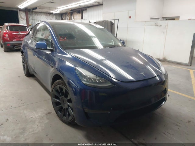 2021 TESLA MODEL Y 5YJYGDEE2MF217387 Photo 0