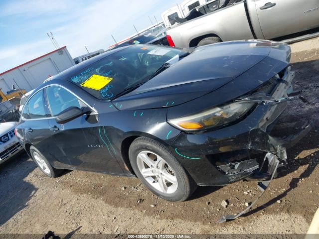 2020 CHEVROLET MALIBU 1G1ZB5ST2LF149350