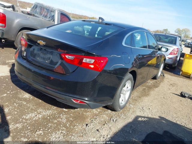2020 CHEVROLET MALIBU 1G1ZB5ST2LF149350 Photo 3