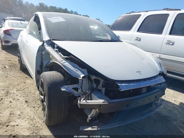 2021 TESLA MODEL Y 5YJYGDEE7MF065090