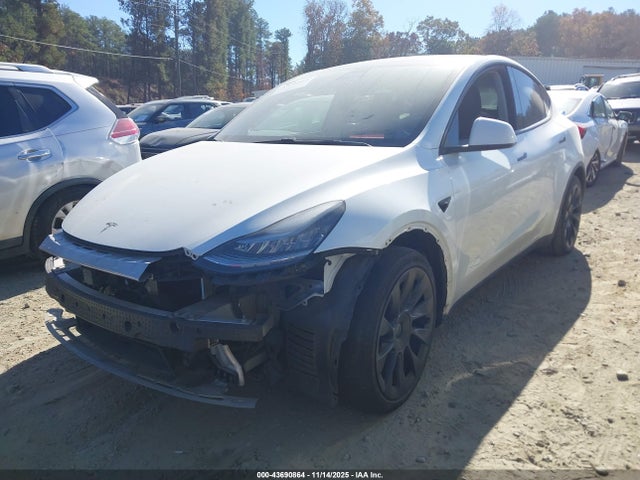 2021 TESLA MODEL Y 5YJYGDEE7MF065090 Photo 1