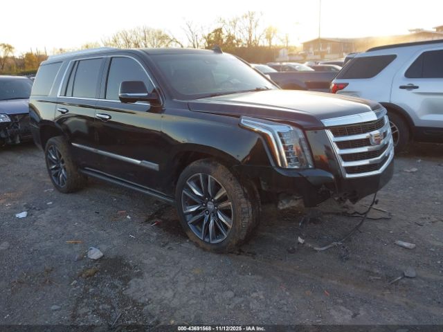2017 CADILLAC ESCALADE 1GYS3CKJ6HR165141