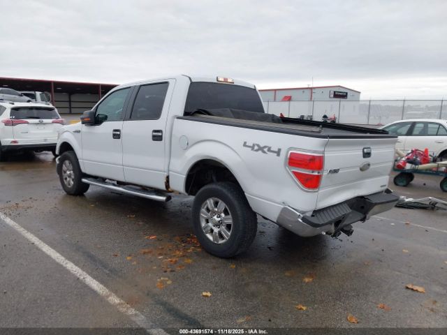 2011 FORD F-150 1FTFW1EF5BFB25085 Photo 2