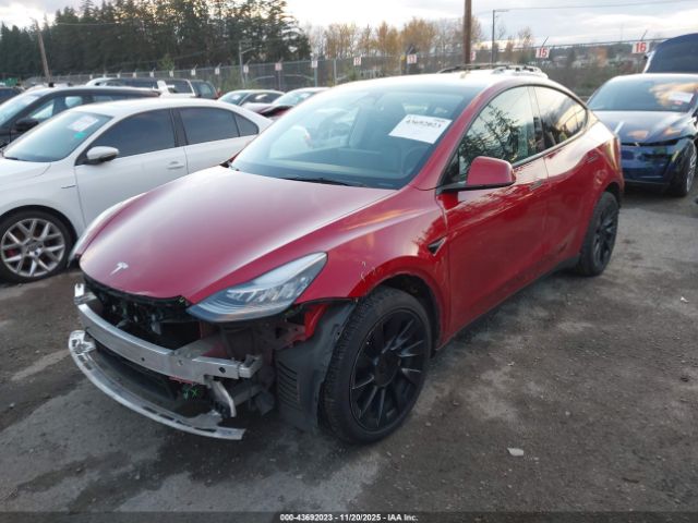 2021 TESLA MODEL Y 5YJYGDEEXMF256471 Photo 1