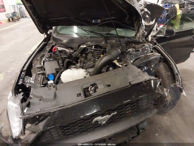 Ford Mustang Ecoboost Fastback 2021 1FA6P8TH2M5140233 Image 10