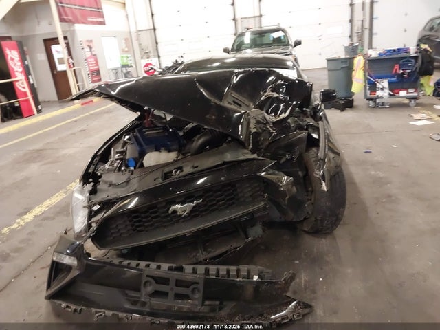 Ford Mustang Ecoboost Fastback 2021 1FA6P8TH2M5140233 Image 12