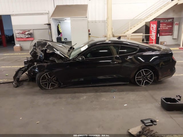 Ford Mustang Ecoboost Fastback 2021 1FA6P8TH2M5140233 Image 14