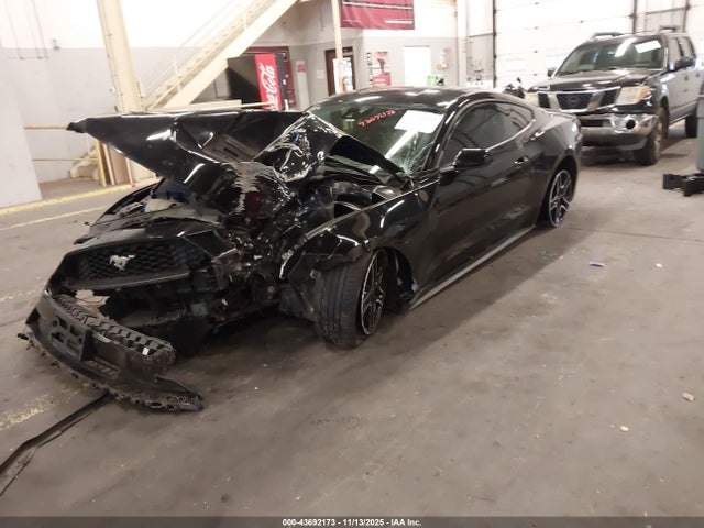 Ford Mustang Ecoboost Fastback 2021 1FA6P8TH2M5140233 Image 2