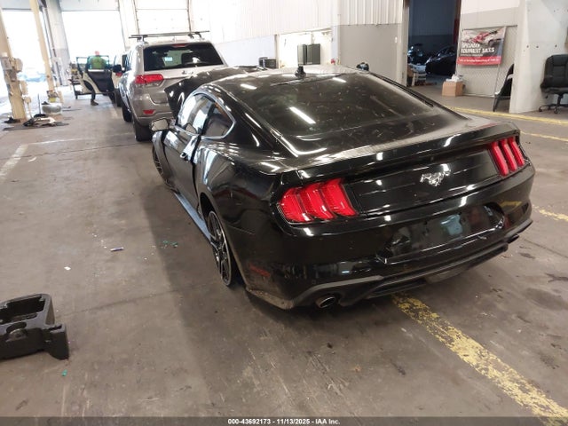 Ford Mustang Ecoboost Fastback 2021 1FA6P8TH2M5140233 Image 3