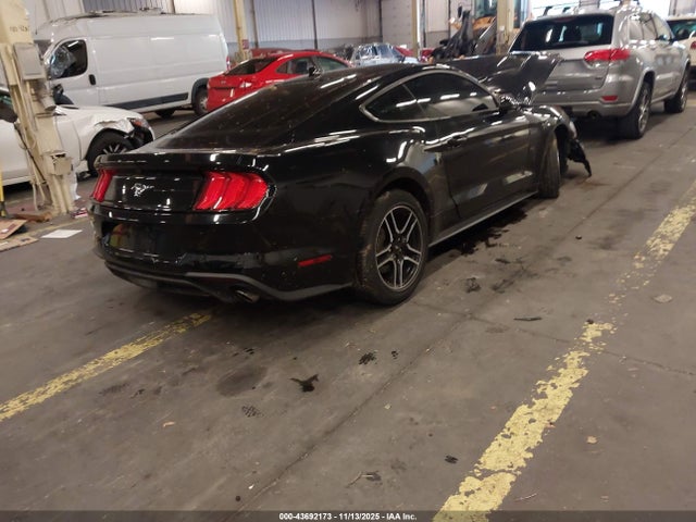 Ford Mustang Ecoboost Fastback 2021 1FA6P8TH2M5140233 Image 4