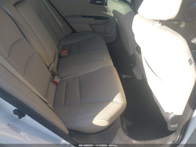 2013 HONDA ACCORD SDN 1HGCR2F83DA174089 Photo 7