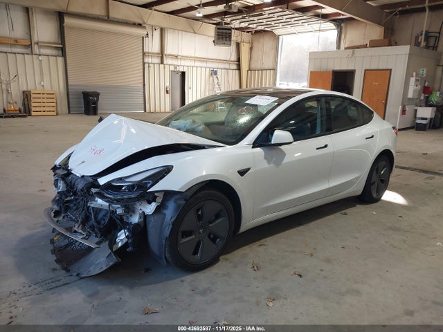2023 TESLA MODEL 3 5YJ3E1EA5PF402940 Photo 1