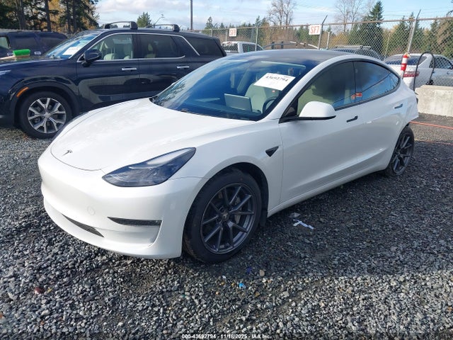 2021 TESLA MODEL 3 5YJ3E1EB8MF037979 Photo 1
