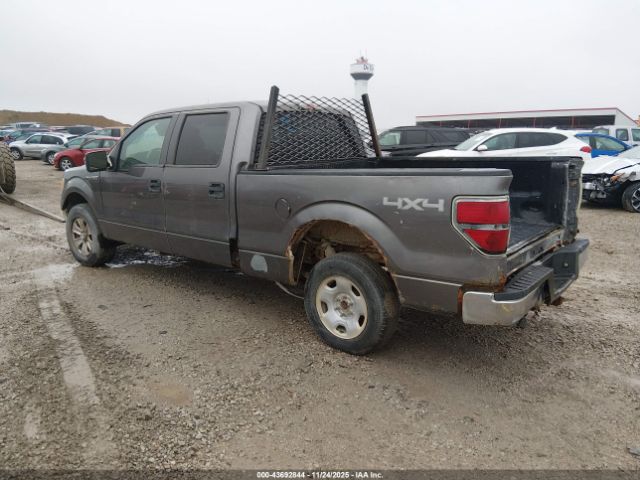 2009 FORD F-150 1FTPW14V59FA87641 Photo 2