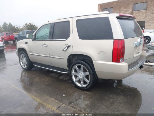 2007 CADILLAC ESCALADE 1GYFK63897R300533 Photo 2