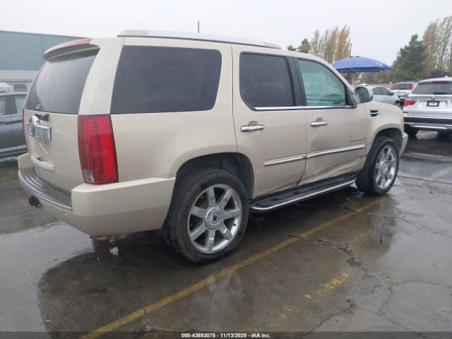 2007 CADILLAC ESCALADE 1GYFK63897R300533 Photo 3