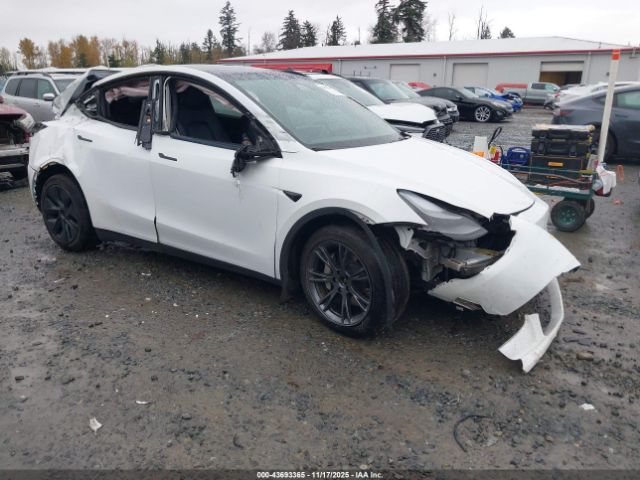 2024 TESLA MODEL Y 7SAYGAEE1RF122280