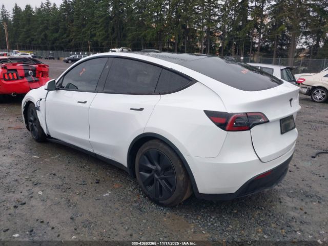 2024 TESLA MODEL Y 7SAYGAEE1RF122280 Photo 2