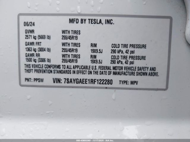 2024 TESLA MODEL Y 7SAYGAEE1RF122280 Photo 8