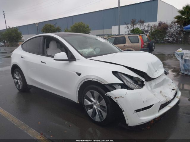 2023 TESLA MODEL Y 7SAYGDEE7PA091564 Photo 0